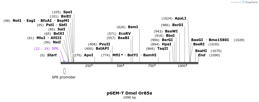 97031_map