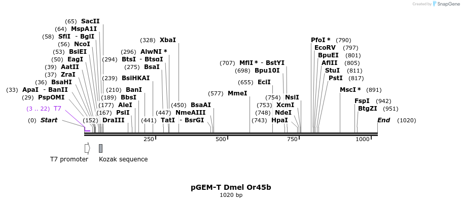 97035_map