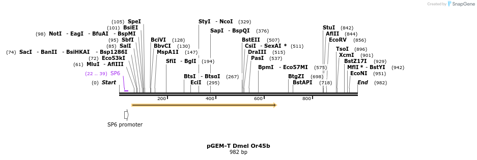 97036_map