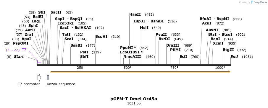 97042_map