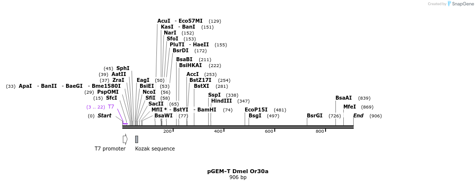 97045_map