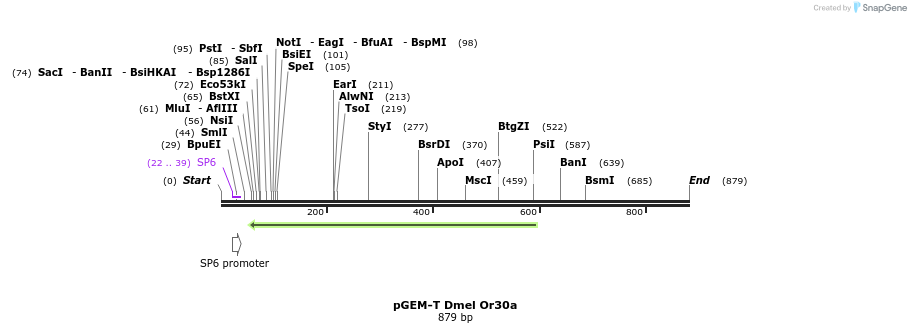 97046_map