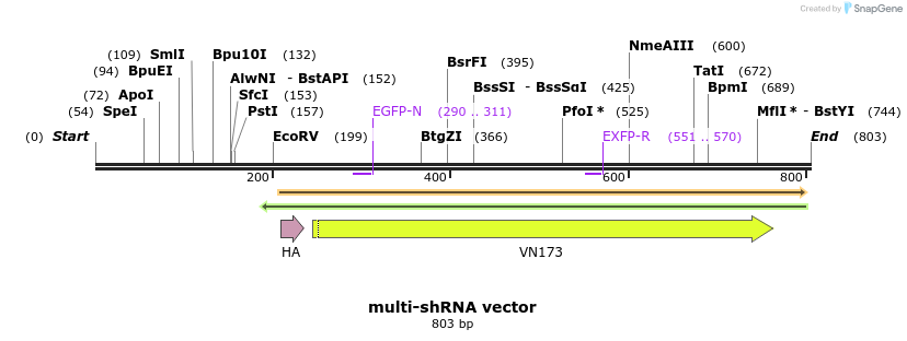 97057_map