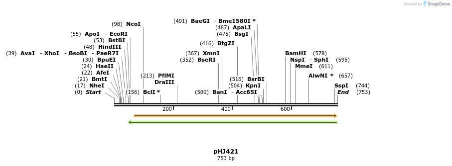 97064_map