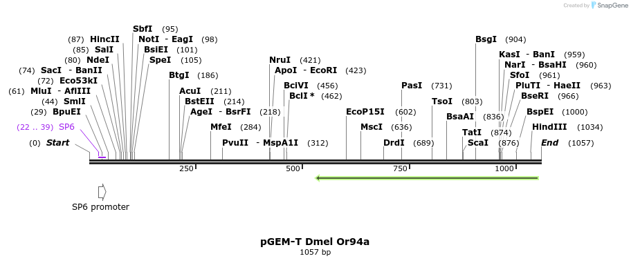 97067_map