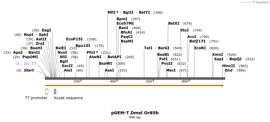 97074_map