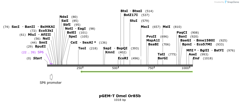 97075_map