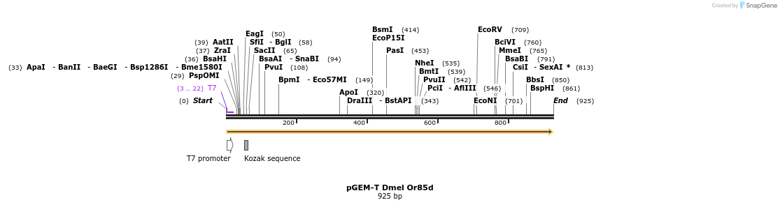 97078_map