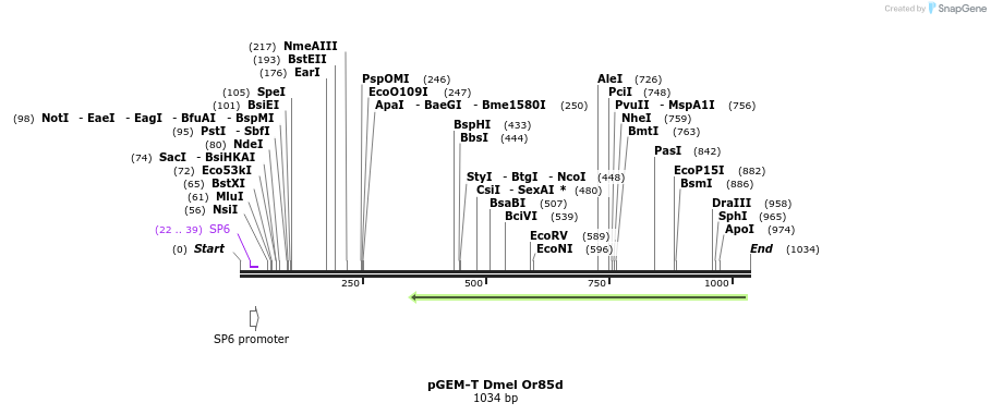 97079_map