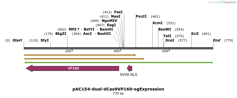 97080_map