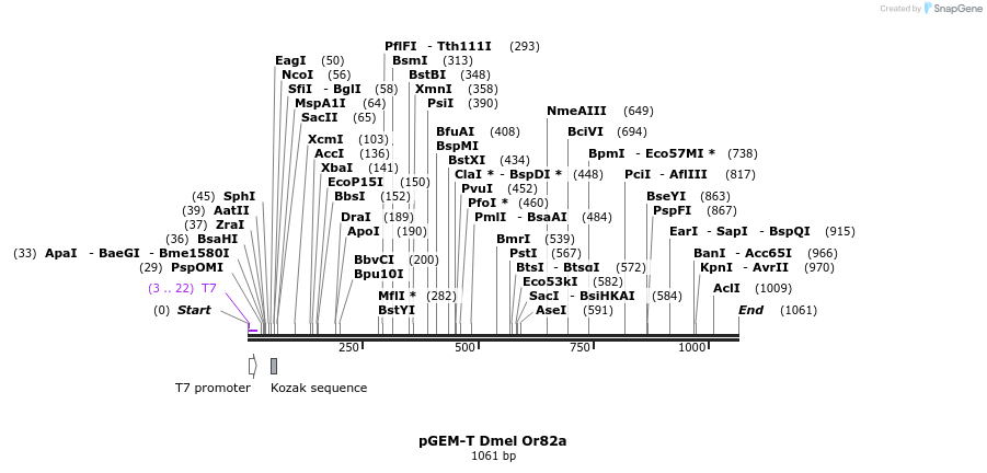 97081_map