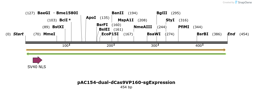 97082_map