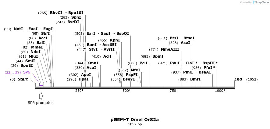 97083_map