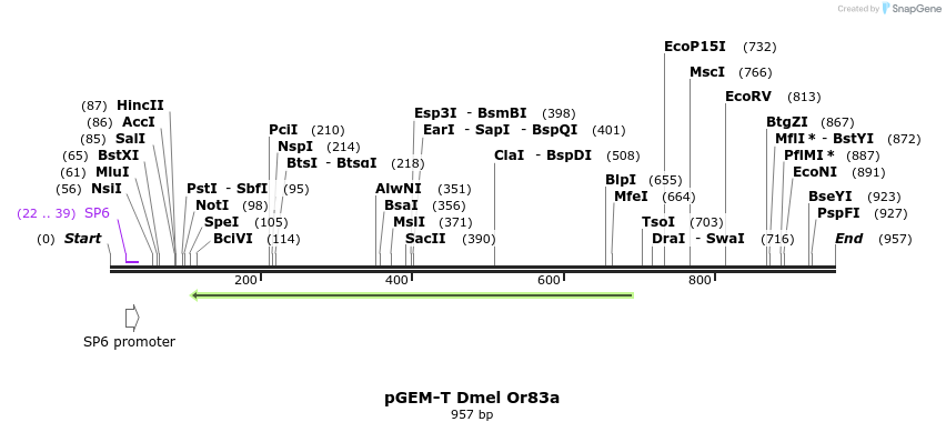 97087_map