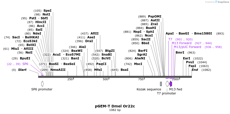 97089_map