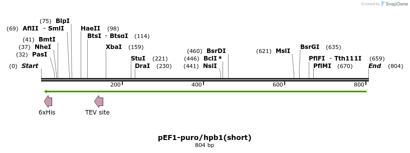 97092_map