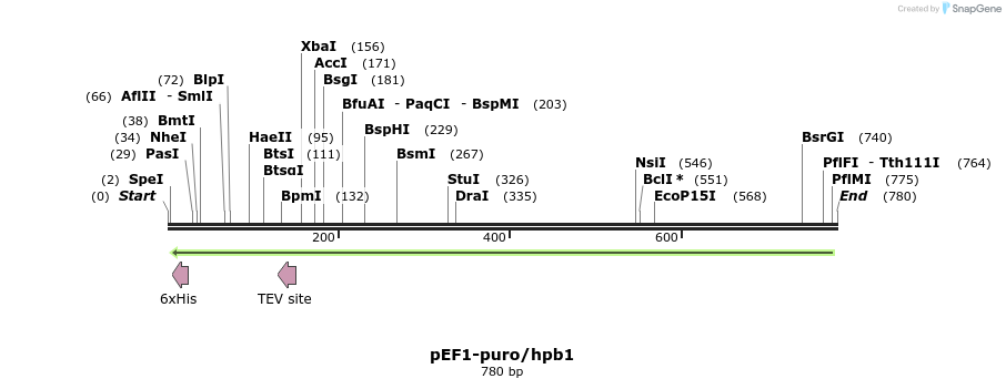 97094_map