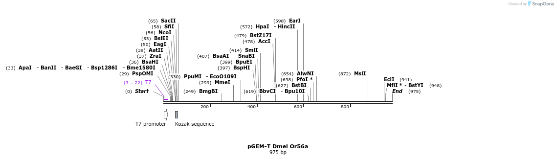 97095_map