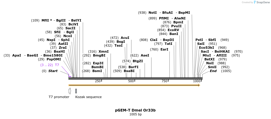 97097_map