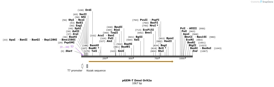 97102_map
