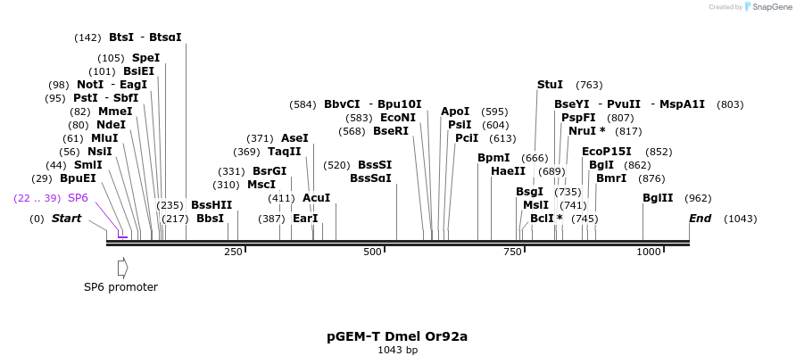 97103_map