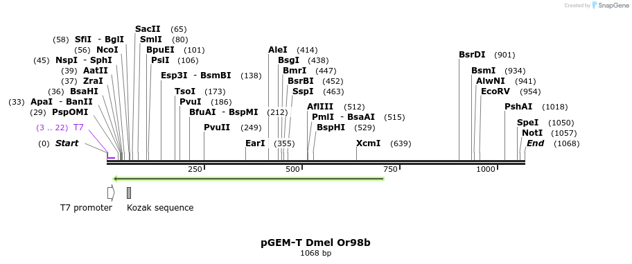 97104_map
