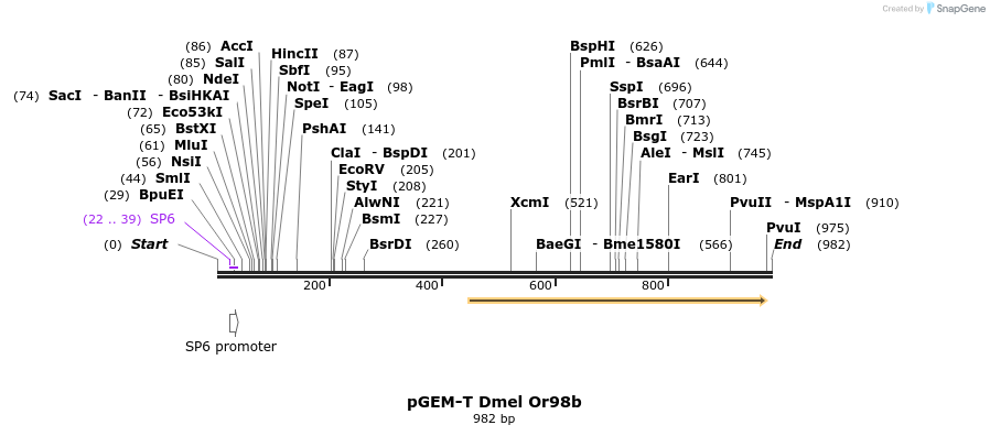 97105_map