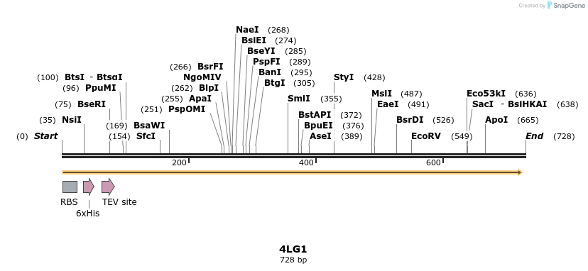 97117_map