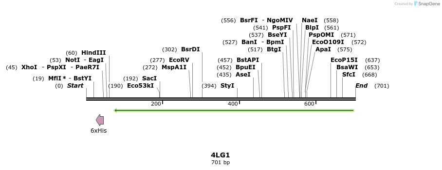 97119_map