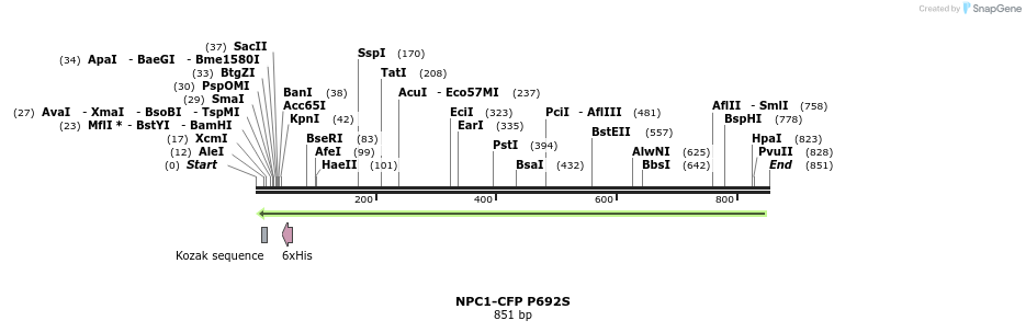 97126_map
