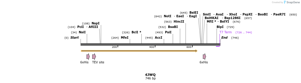 97128_map