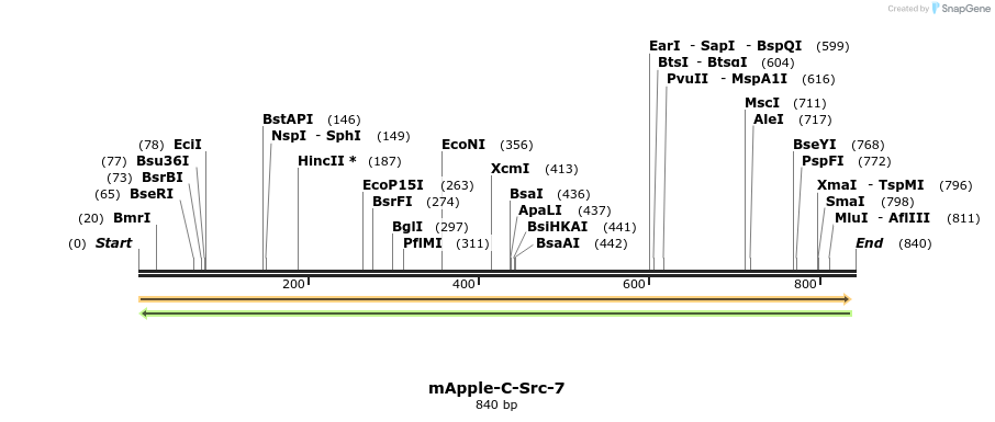 97130_map