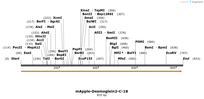 97131_map