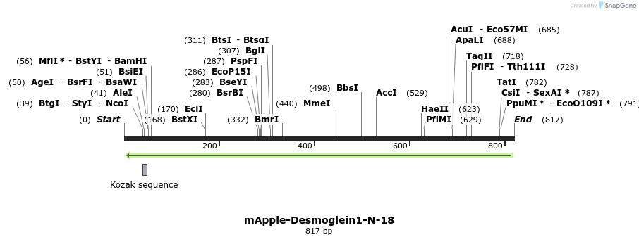 97134_map