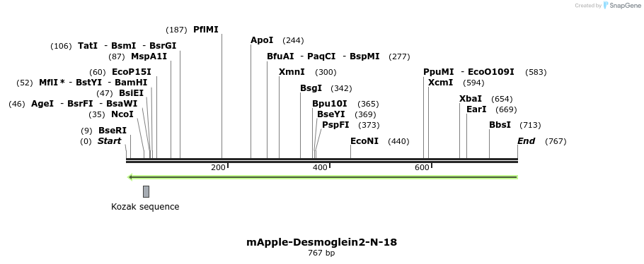97137_map