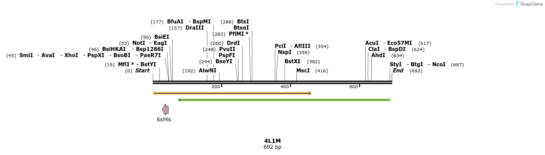 97139_map