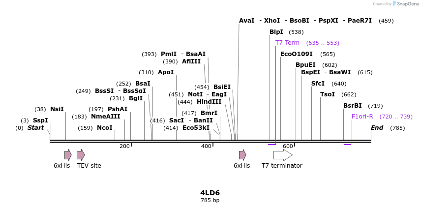 97142_map