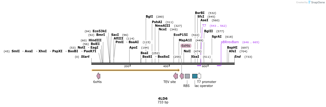 97143_map