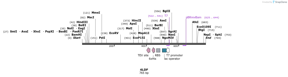 97144_map