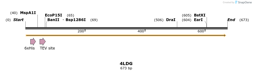 97145_map