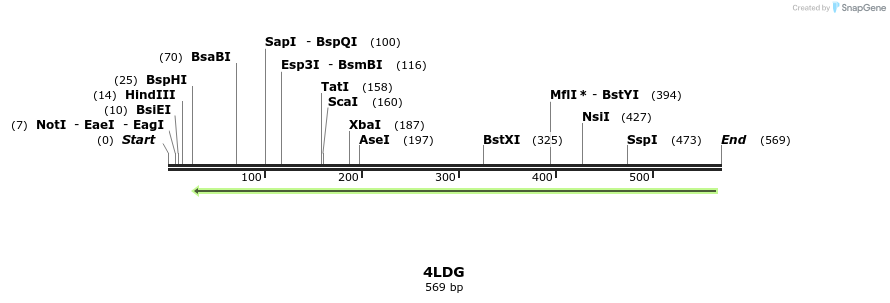 97146_map