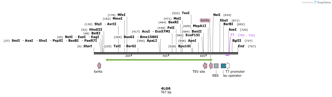 97151_map