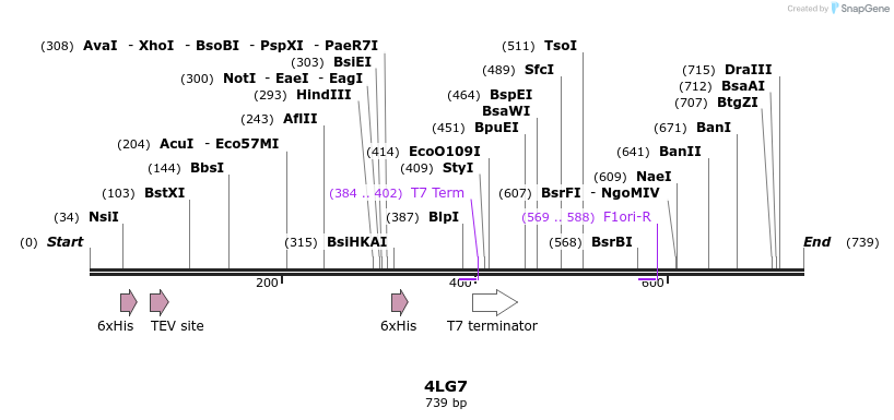 97152_map