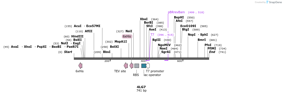 97153_map