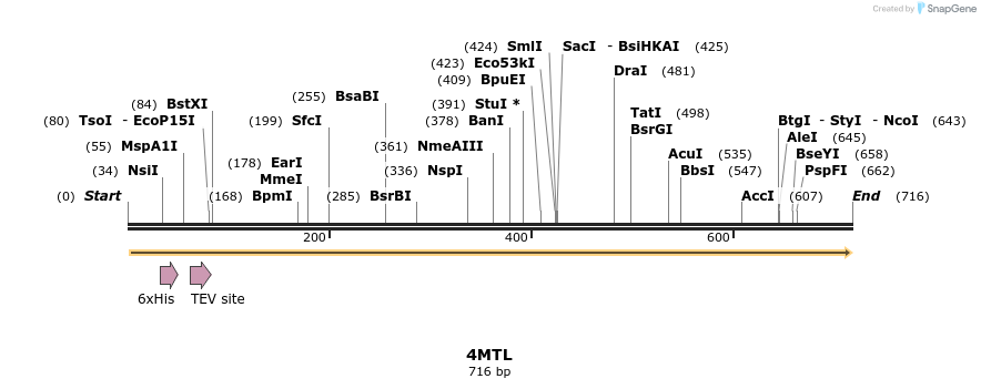 97155_map