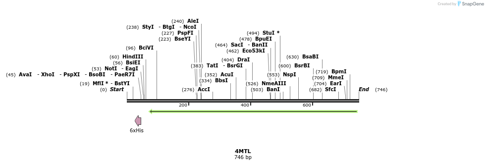97156_map