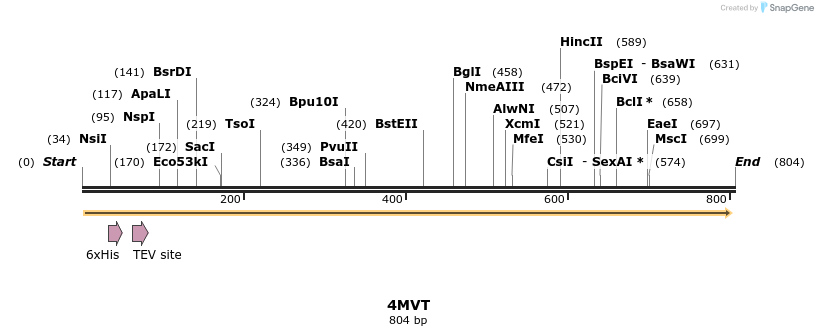 97159_map