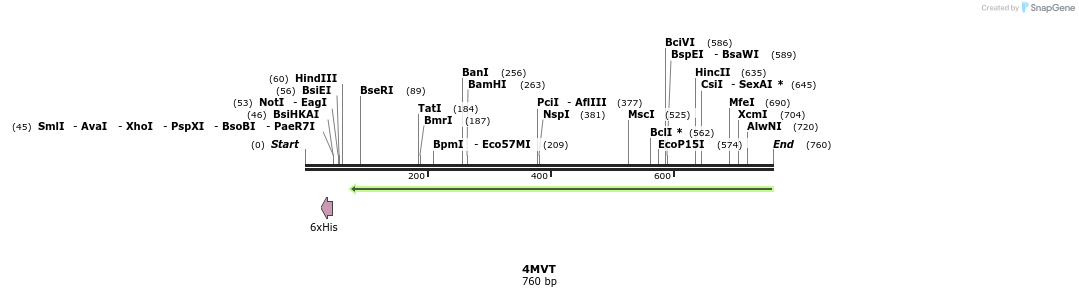 97160_map