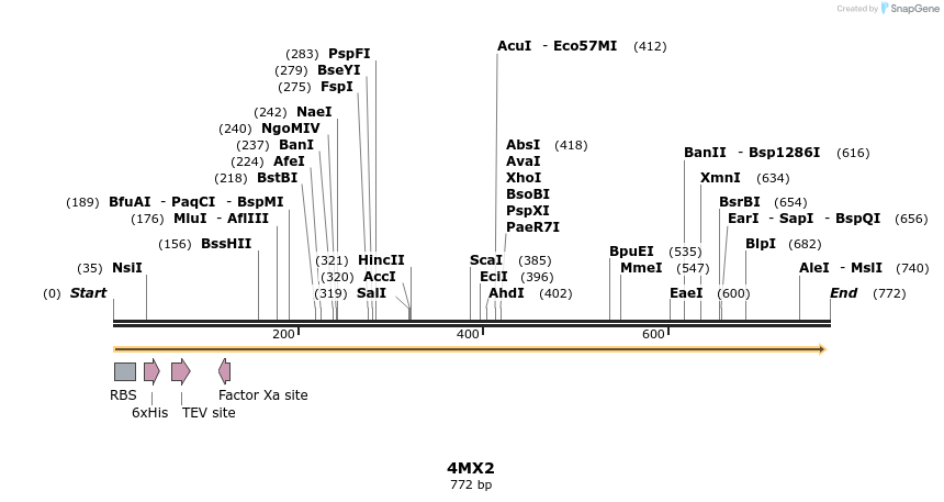 97161_map