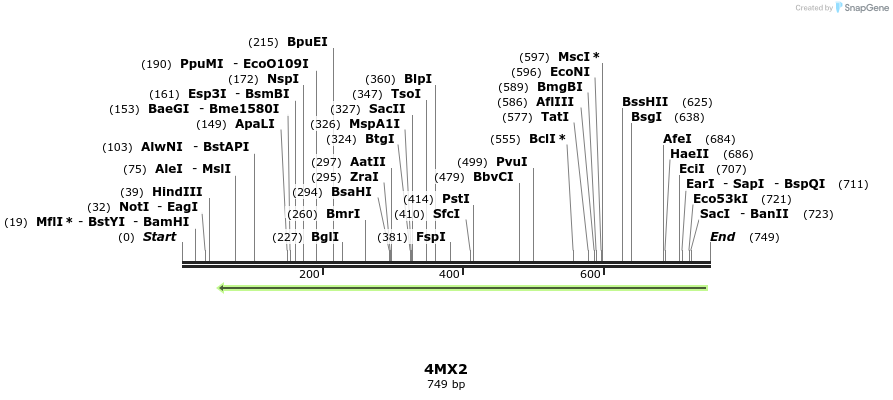 97162_map